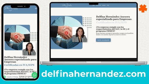 Proyecto Delfina Hernández
